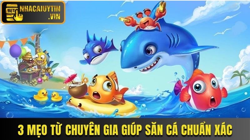3-meo-tu-chuyen-gia-giup-san-ca-chuan-xac