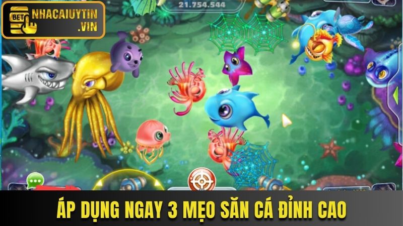 Áp dụng ngay 3 mẹo săn cá đỉnh cao
