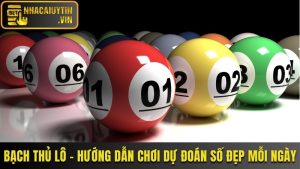 Bạch Thủ Lô - Hướng Dẫn Chơi Dự Đoán Số Đẹp Mỗi Ngày