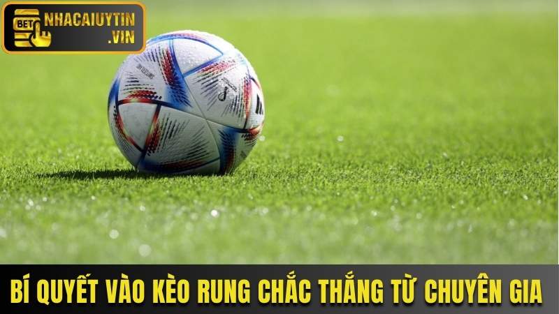 Bí quyết vào kèo rung chắc thắng từ chuyên gia