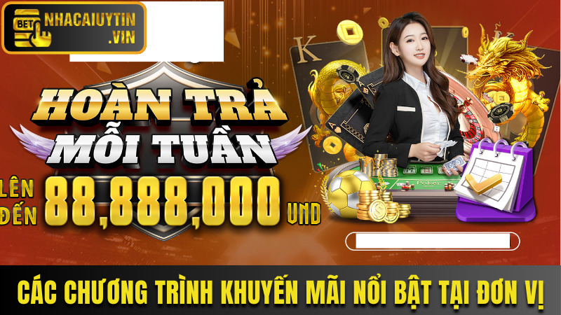 Các chương trình khuyến mãi nổi bật tại đơn vị