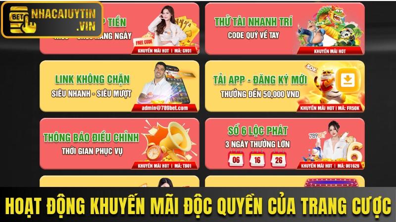 Các hoạt động khuyến mãi hội viên của trang cược