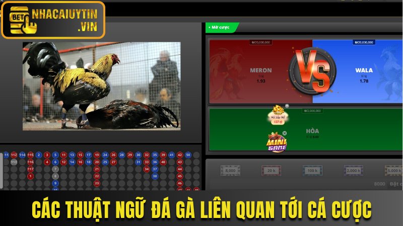 Các thuật ngữ đá gà liên quan tới cá cược