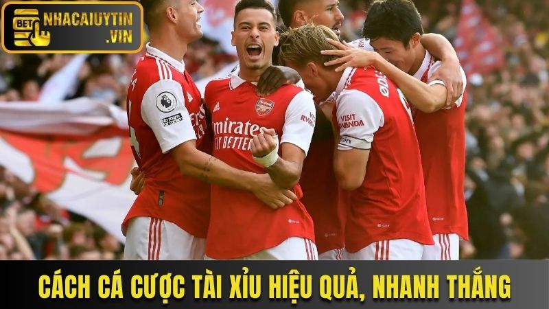 Cách cá cược Tài Xỉu hiệu quả, nhanh thắng