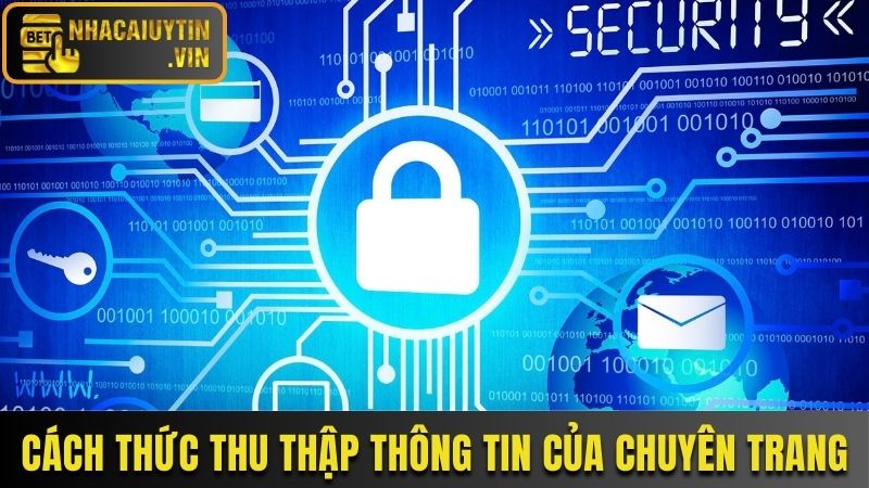 Cách thức thu thập thông tin của chuyên trang