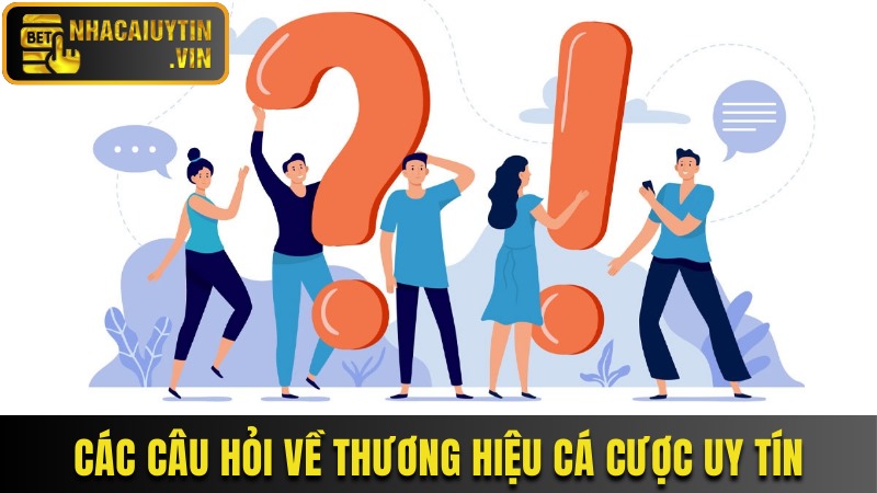 Cập nhật các câu hỏi về thương hiệu cá cược uy tín