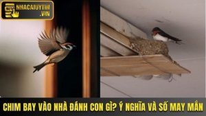 Chim Bay Vào Nhà Đánh Con Gì? Ý Nghĩa Và Số May Mắn
