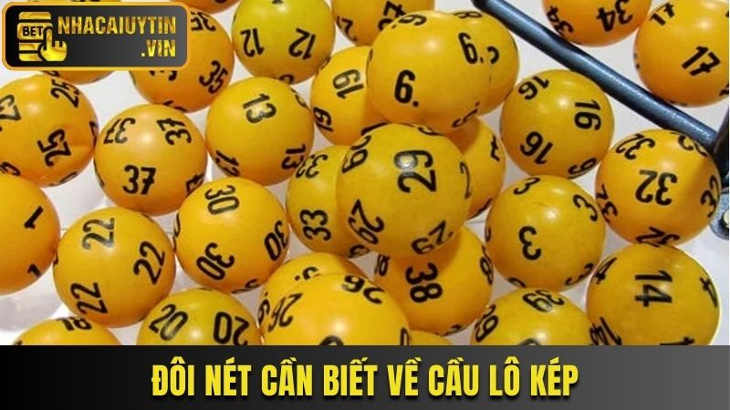 Đôi nét cần biết về cầu lô kép