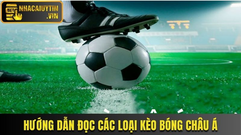 Hướng dẫn đọc các loại kèo bóng châu Á