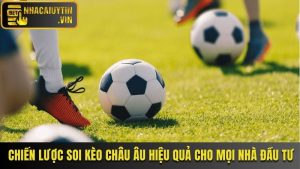 Chiến Lược Soi Kèo Châu Âu Hiệu Quả Cho Mọi Nhà Đầu Tư