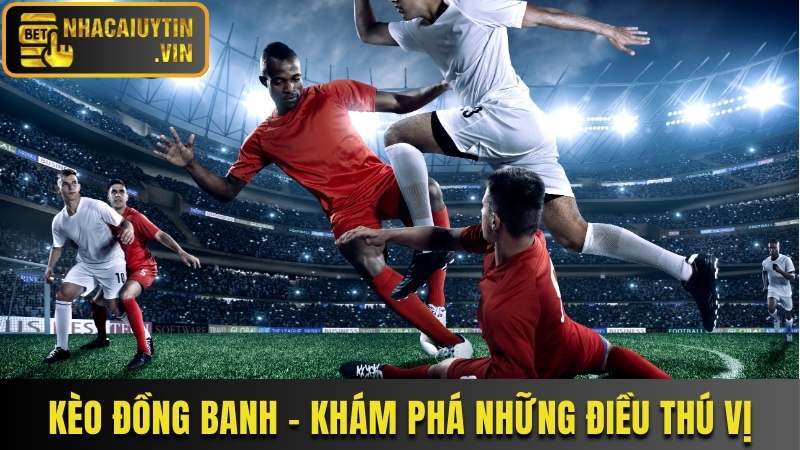 Kèo đồng banh là gì? Khám phá loại kèo thú vị này
