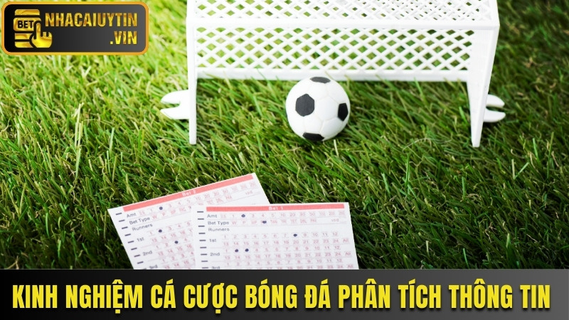 Kinh nghiệm cá cược bóng đá phân tích thông tin