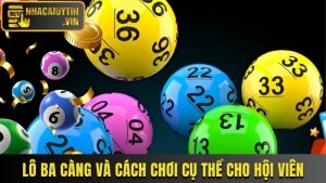 Khám Phá Lô 3 Càng Và Cách Chơi Chi Tiết Cho Hội Viên