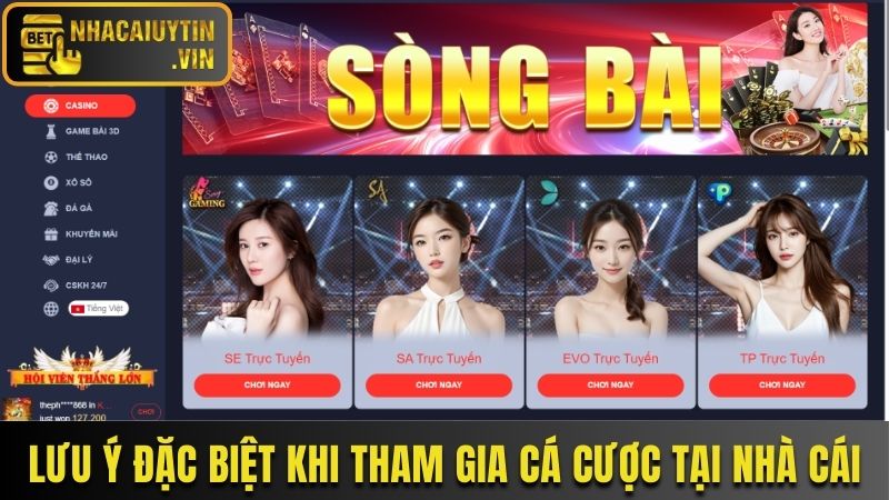 Lưu ý đặc biệt khi tham gia cá cược tại nhà cái