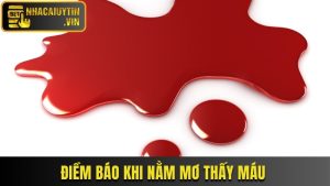 Nằm Mơ Thấy Máu - Khám Phá Ý Nghĩa Và Con Số Liên Quan