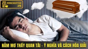Nằm Mơ Thấy Quan Tài - Ý Nghĩa, Điềm Báo Và Cách Hóa Giải