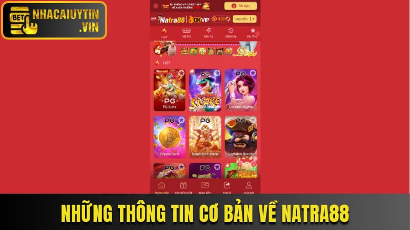 Những thông tin cơ bản về Natra88