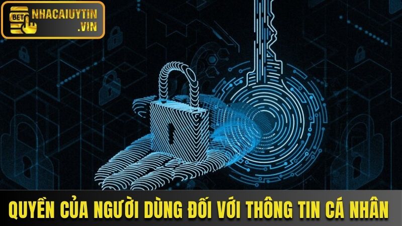 Quyền của người dùng đối với thông tin của mình