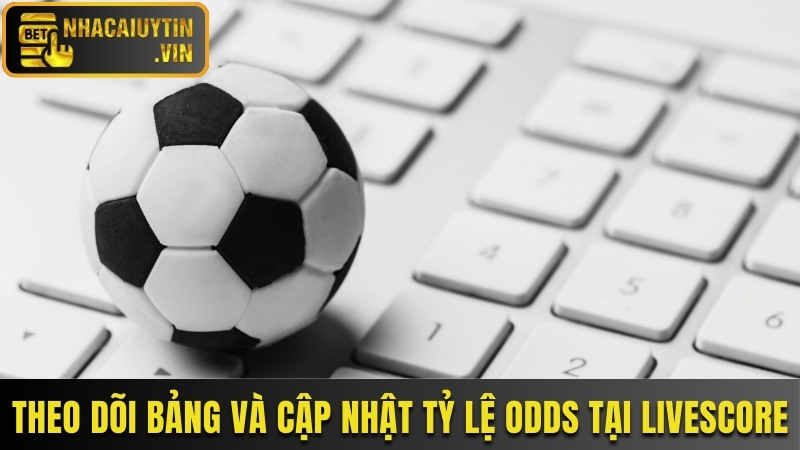 Theo dõi bảng và cập nhật tỷ lệ Odds tại Livescore