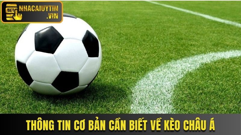 Thông tin cơ bản cần biết về kèo châu Á
