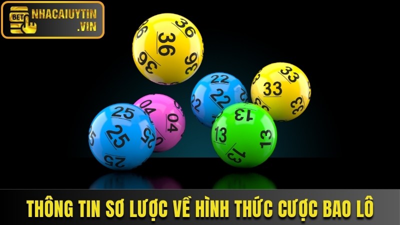 Thông tin sơ lược về hình thức cược bao lô
