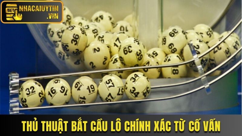 Thủ thuật bắt cầu lô chính xác từ cố vấn