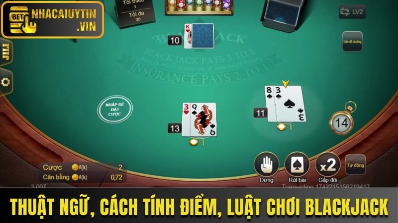 Thuật ngữ, cách tính điểm và luật chơi Blackjack cụ thể