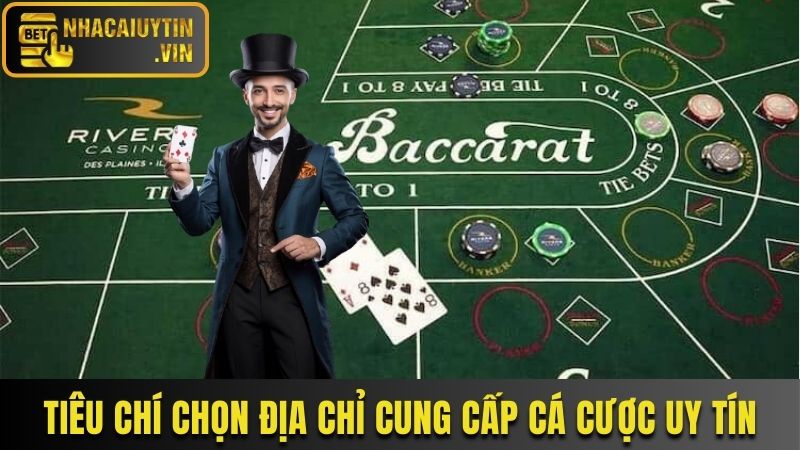 Tiêu chí lựa chọn trang Baccarat online uy tín