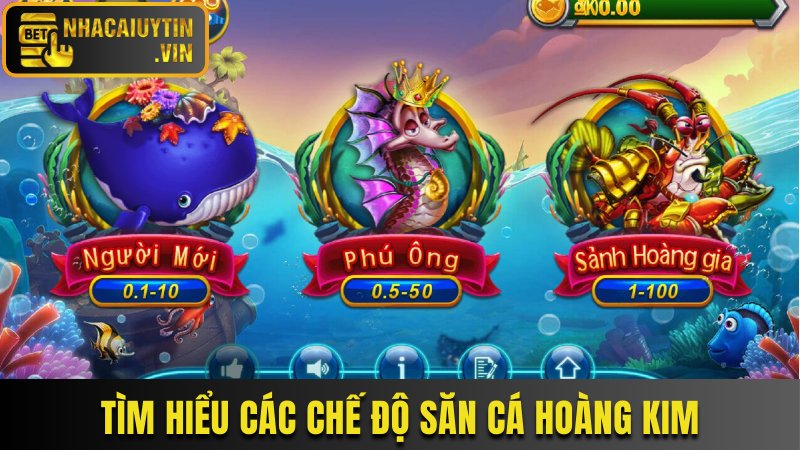 Tìm hiểu các chế độ săn cá hoàng kim