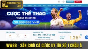 WW88 - Sân Chơi Cá Cược Trực Tuyến Uy Tín Số 1 Châu Á